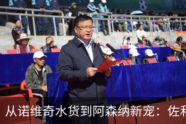 从诺维奇水货到阿森纳新宠：佐利斯22球29助攻的逆袭之路